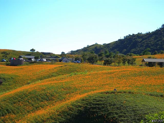 2011/08/16~18  大男子3天3夜環半島 赤科山+六十石山賞金針遊記分享