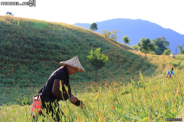 2011六十石山特輯-BY 60D