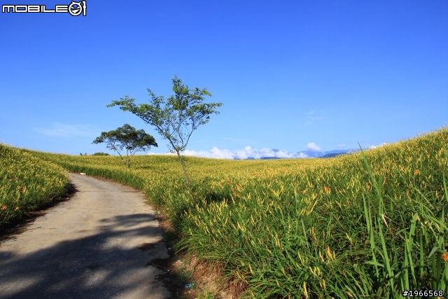 2011六十石山特輯-BY 60D