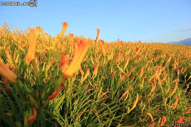 2011六十石山特輯-BY 60D