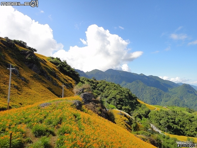 六十石山-金針花海~ 世界末日前一定要來一次的!
