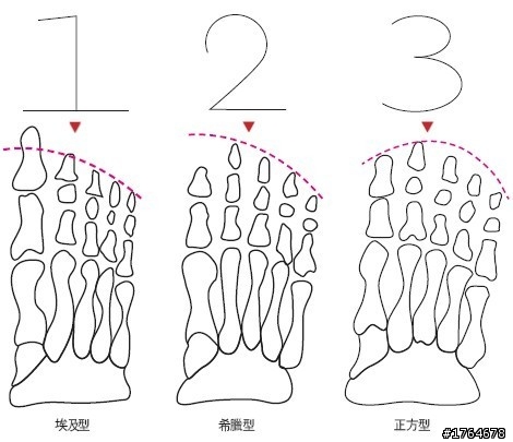認識你的腳（淺談自行車與跑步的運動傷害預防及鞋款挑選）首部曲