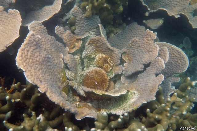 [分享]I left my heart in Palau