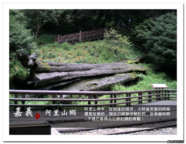 機車環島走跳行之初探-以本島民用機場為例-09
