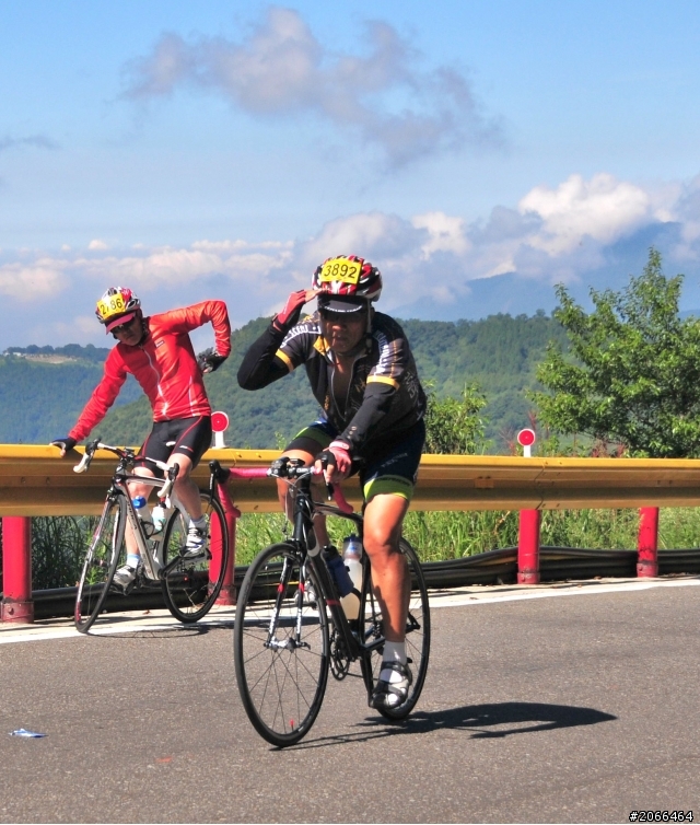2011 ●  跳 跳 虎 在 武 嶺 ● 照片再次呈獻 08/26上傳