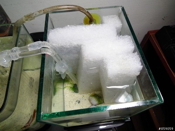 超迷你五公升海水缸~