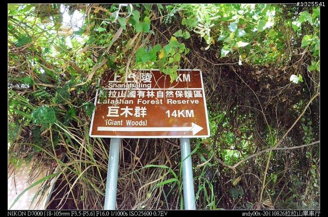 拉拉山單車森林浴之旅