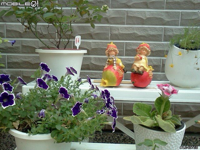 分享剛弄好的車庫花園(9/24 終於改造完成了) ^^