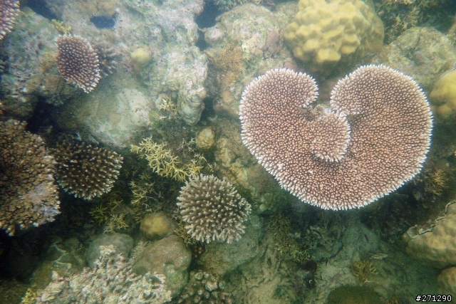 [分享]I left my heart in Palau