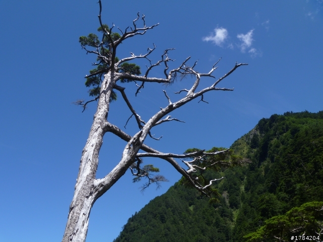 合歡溪步道