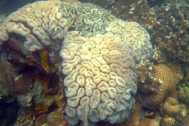 [分享]I left my heart in Palau