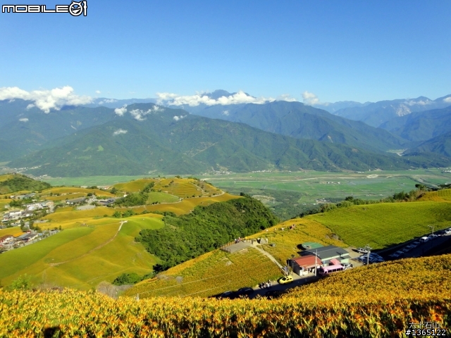 六十石山-金針花海~ 世界末日前一定要來一次的!