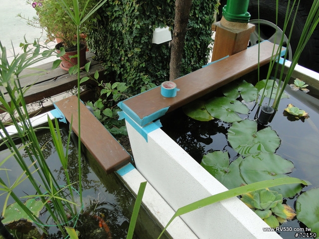花園 [ 荷花生態缸 ] 防水施工全記錄