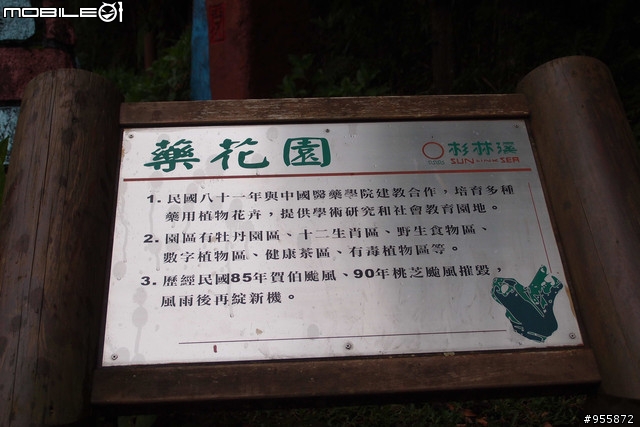 (景點) 南投 杉林溪
