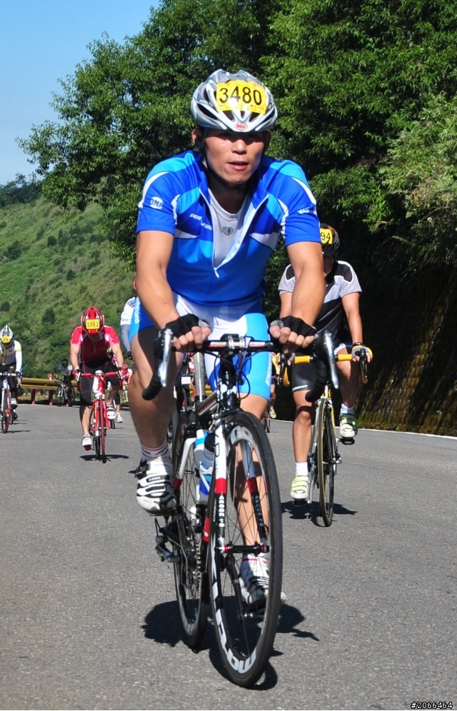 2011 ●  跳 跳 虎 在 武 嶺 ● 照片再次呈獻 08/26上傳