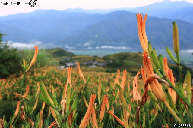 2011六十石山特輯-BY 60D