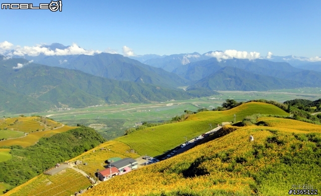 六十石山-金針花海~ 世界末日前一定要來一次的!