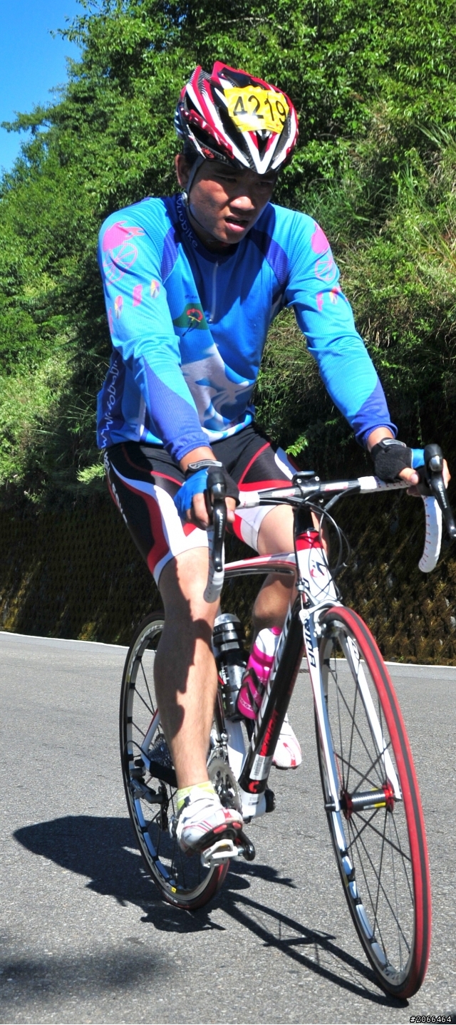 2011 ●  跳 跳 虎 在 武 嶺 ● 照片再次呈獻 08/26上傳