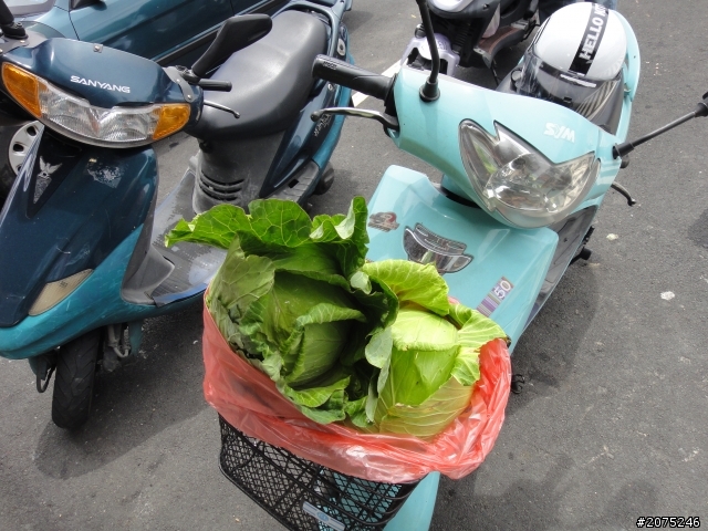 金牌妹50cc買菜車 衝武嶺之高麗菜篇