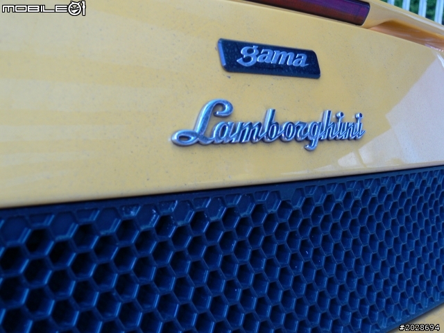 [圖多]  旅館旁的小牛&餐廳旁的大牛