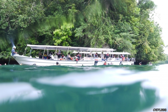 [分享]I left my heart in Palau