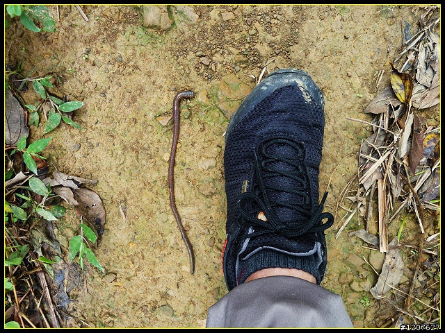 2011.08.24_獨客獨行獨立山-大巃頂
