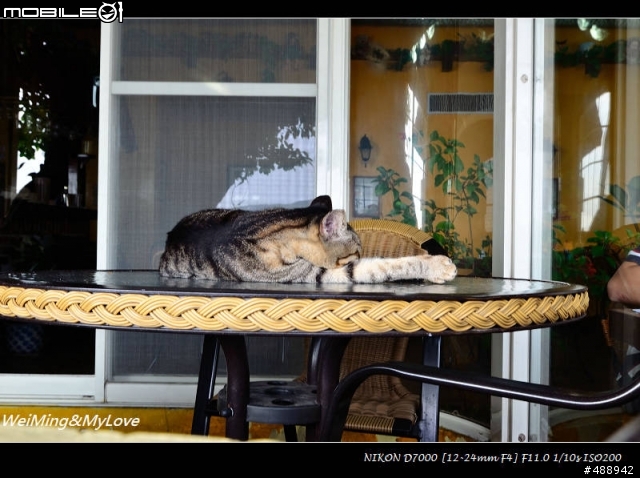 T124+50mm f1.4d 信義淡水趴趴走