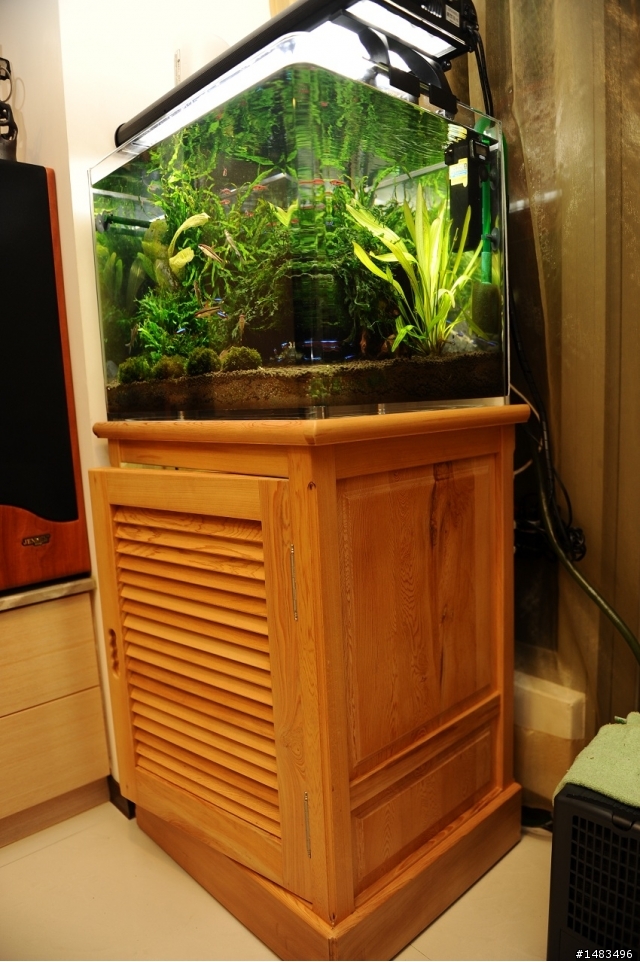水晶缸加檜木櫃真是絕配