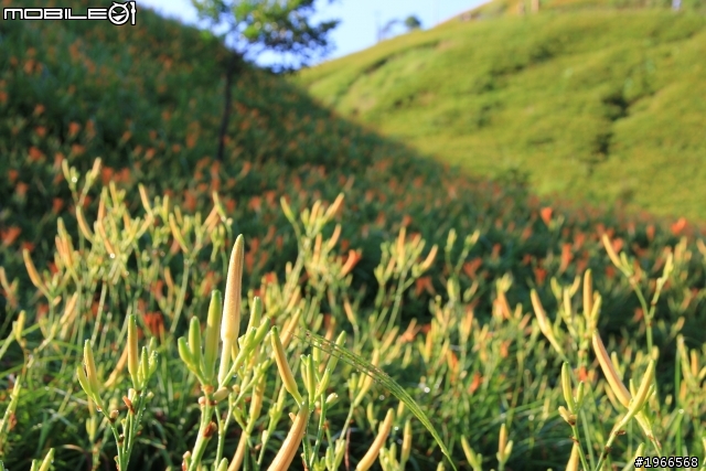 2011六十石山特輯-BY 60D