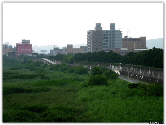 情牽兩岸行的生命安全(須建重陽橋單車引道)