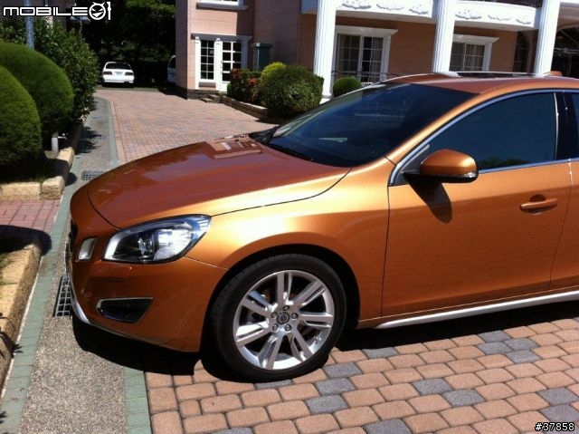 2011 S60 耀動金 出遊圖集
