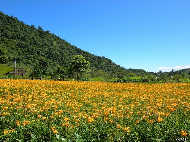 2011/08/16~18  大男子3天3夜環半島 赤科山+六十石山賞金針遊記分享