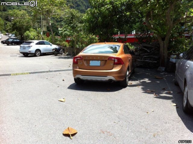 2011 S60 耀動金 出遊圖集