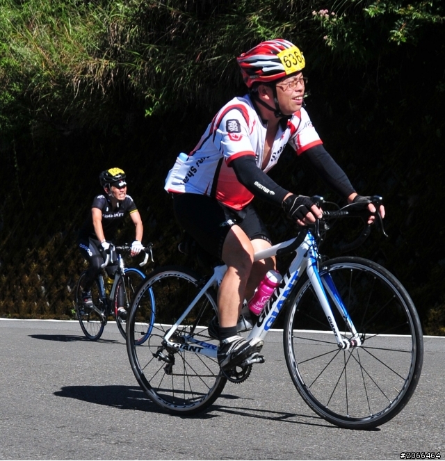 2011 ●  跳 跳 虎 在 武 嶺 ● 照片再次呈獻 08/26上傳