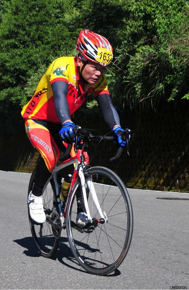 2011 ●  跳 跳 虎 在 武 嶺 ● 照片再次呈獻 08/26上傳