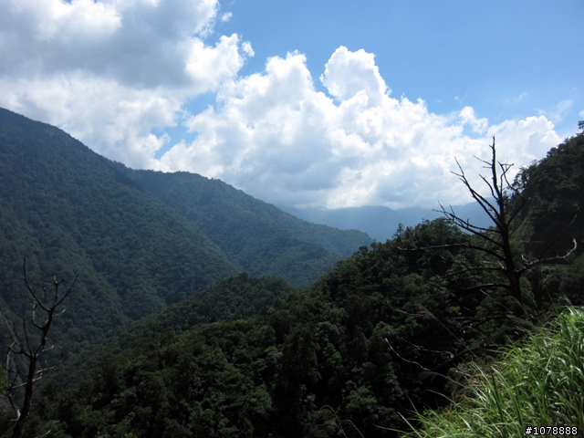 北橫