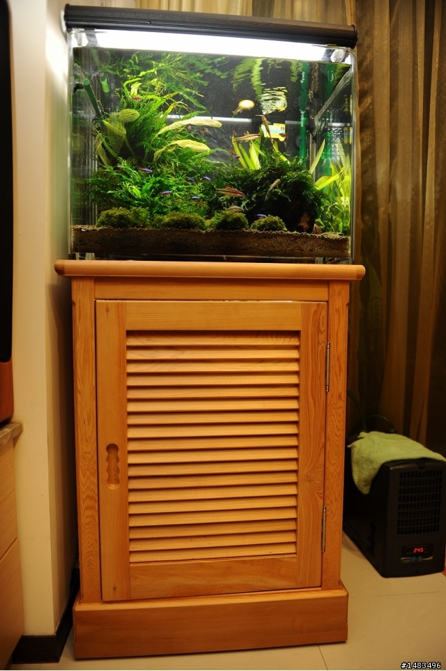 水晶缸加檜木櫃真是絕配