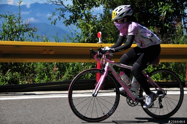 2011 ●  跳 跳 虎 在 武 嶺 ● 照片再次呈獻 08/26上傳