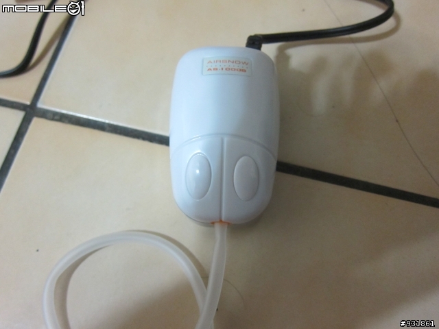 我的金魚缸設置開箱文(己更新--設缸第13天，完結）