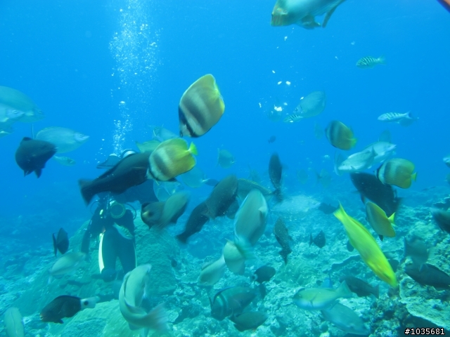 【分享】碧海藍天綠島行