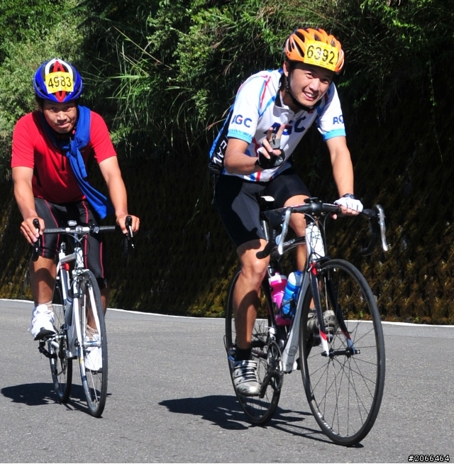 2011 ●  跳 跳 虎 在 武 嶺 ● 照片再次呈獻 08/26上傳