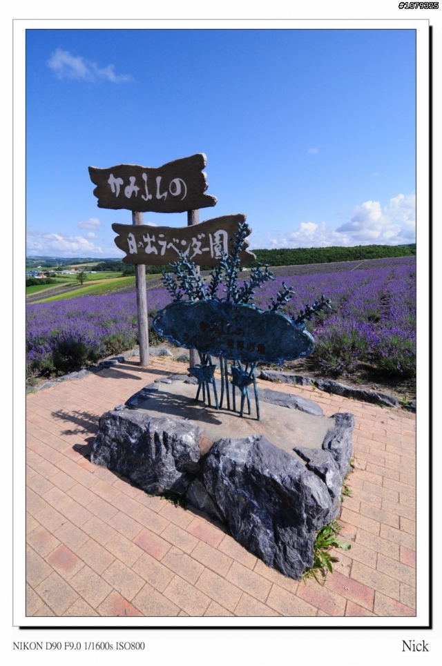 D90 18-105+ T116 北海道八天七日遊