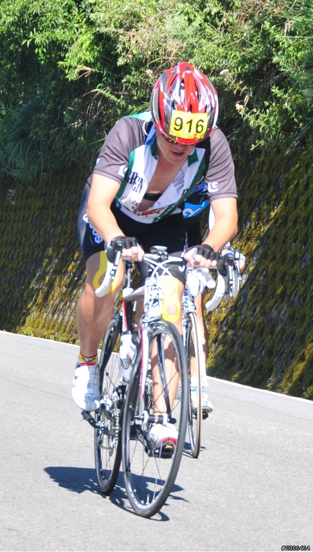 2011 ●  跳 跳 虎 在 武 嶺 ● 照片再次呈獻 08/26上傳