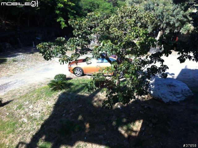 2011 S60 耀動金 出遊圖集
