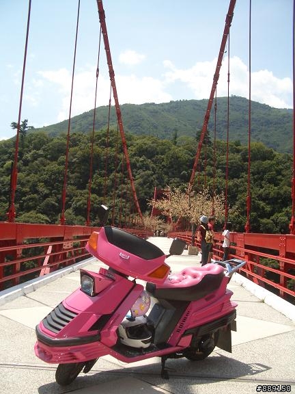 名流150北橫半日遊