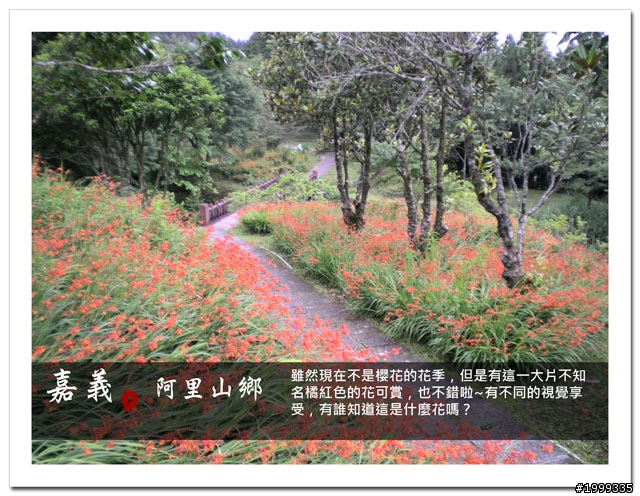 機車環島走跳行之初探-以本島民用機場為例-09