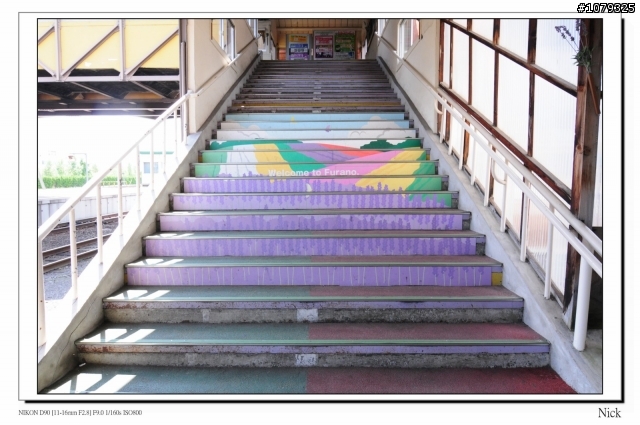 D90 18-105+ T116 北海道八天七日遊