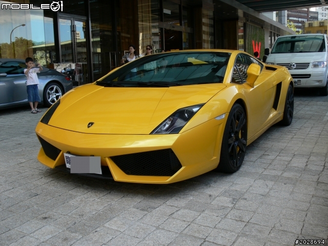 [圖多]  旅館旁的小牛&餐廳旁的大牛