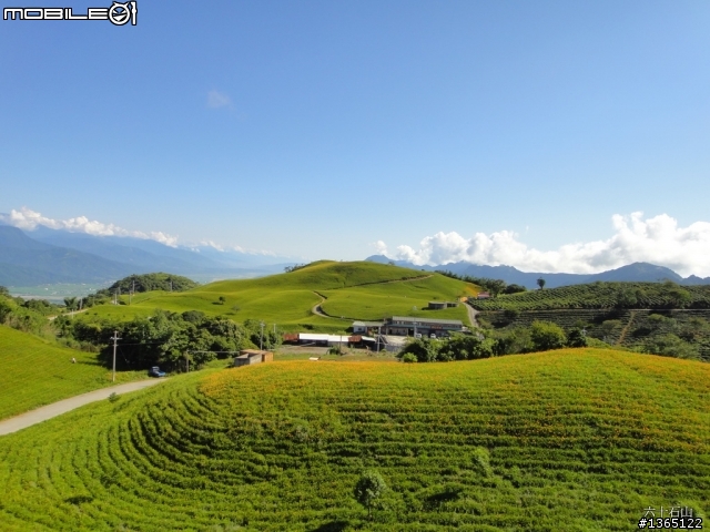 六十石山-金針花海~ 世界末日前一定要來一次的!