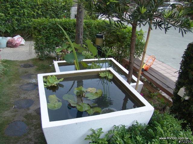 花園 [ 荷花生態缸 ] 防水施工全記錄